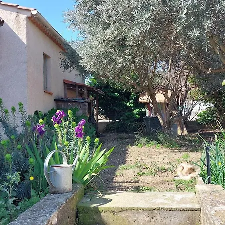 Villa 80 M2 Jardin Terrasse 3 Chambres Provence Volx Extérieur photo